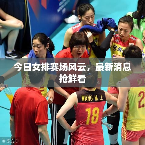 今日女排賽場(chǎng)風(fēng)云，最新消息搶鮮看