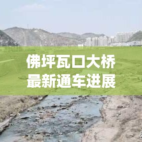 佛坪瓦口大橋最新通車進(jìn)展，交通新里程碑誕生！