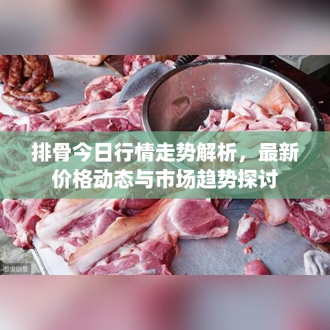 排骨今日行情走勢(shì)解析，最新價(jià)格動(dòng)態(tài)與市場(chǎng)趨勢(shì)探討
