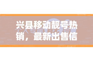 興縣移動(dòng)靚號(hào)熱銷(xiāo)，最新出售信息一覽