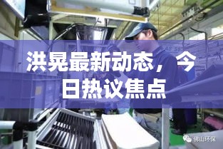 洪晃最新動(dòng)態(tài)，今日熱議焦點(diǎn)