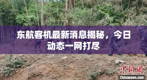 東航客機(jī)最新消息揭秘，今日動(dòng)態(tài)一網(wǎng)打盡