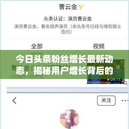 今日頭條粉絲增長(zhǎng)最新動(dòng)態(tài)，揭秘用戶增長(zhǎng)背后的秘密！