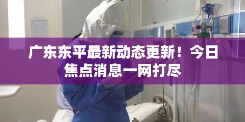 廣東東平最新動態(tài)更新！今日焦點(diǎn)消息一網(wǎng)打盡