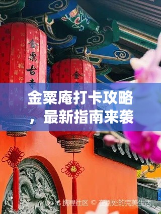 金粟庵打卡攻略，最新指南來(lái)襲！