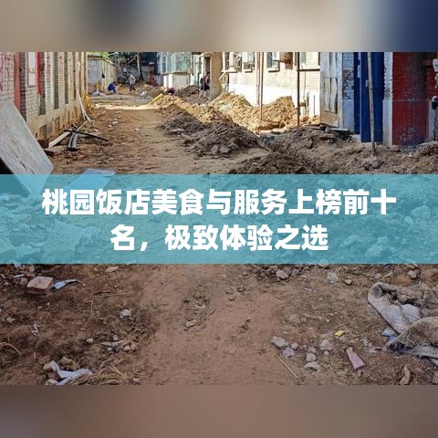 桃園飯店美食與服務(wù)上榜前十名，極致體驗(yàn)之選