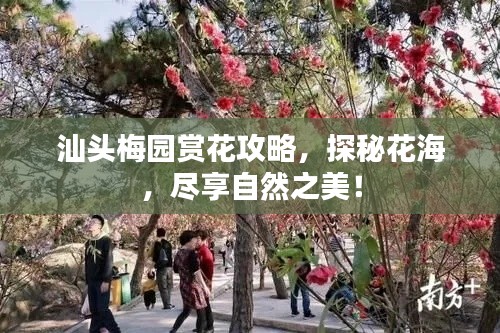 汕頭梅園賞花攻略，探秘花海，盡享自然之美！