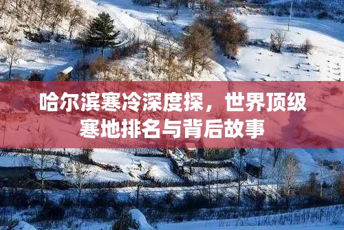 哈爾濱寒冷深度探，世界頂級寒地排名與背后故事