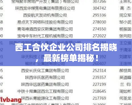 西工合伙企業(yè)公司排名揭曉，最新榜單揭秘！