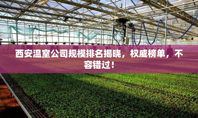 西安溫室公司規(guī)模排名揭曉，權(quán)威榜單，不容錯過！