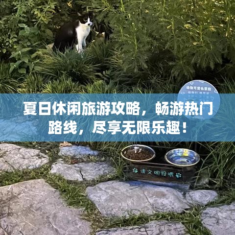 夏日休閑旅游攻略，暢游熱門路線，盡享無限樂趣！