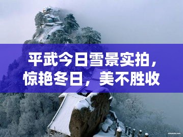 平武今日雪景實拍，驚艷冬日，美不勝收！