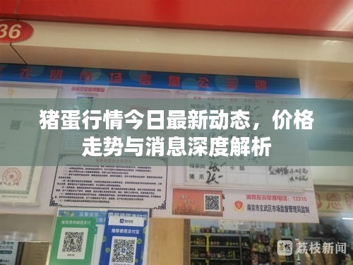 豬蛋行情今日最新動態(tài)，價格走勢與消息深度解析