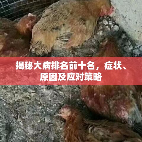 揭秘大病排名前十名，癥狀、原因及應(yīng)對(duì)策略