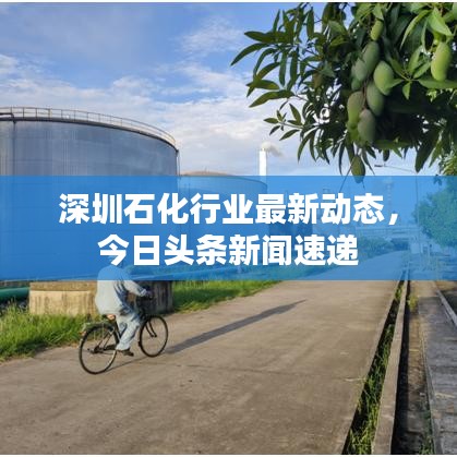 深圳石化行業(yè)最新動(dòng)態(tài)，今日頭條新聞速遞