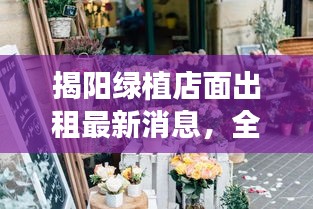 揭陽綠植店面出租最新消息，全面更新，一睹即知