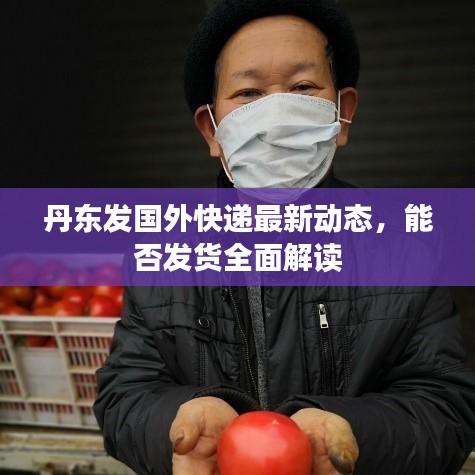 丹東發(fā)國外快遞最新動態(tài)，能否發(fā)貨全面解讀