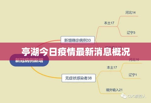 亭湖今日疫情最新消息概況
