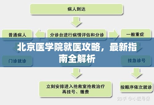 北京醫(yī)學院就醫(yī)攻略，最新指南全解析