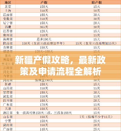 新疆產(chǎn)假攻略，最新政策及申請流程全解析