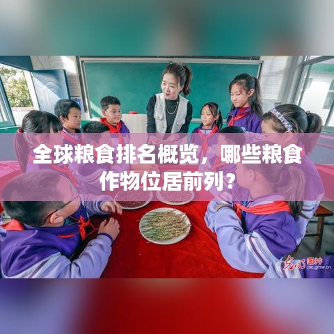 全球糧食排名概覽，哪些糧食作物位居前列？