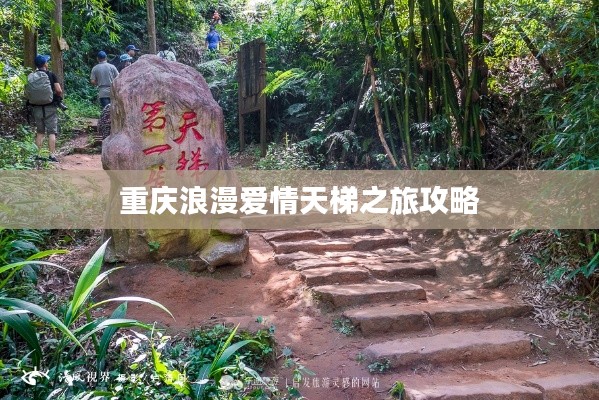 令行禁止 第3頁(yè)