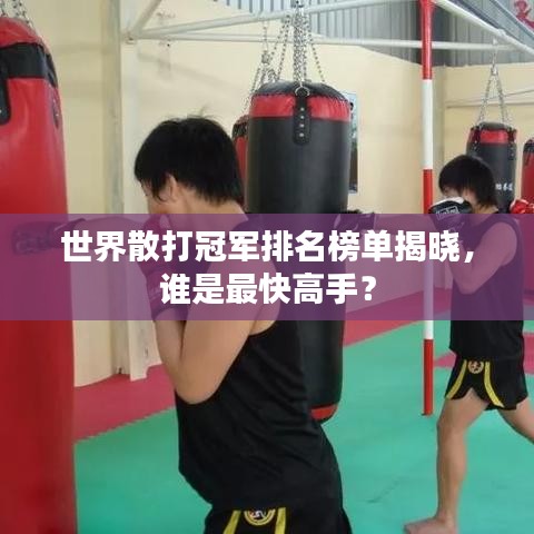 世界散打冠軍排名榜單揭曉，誰是最快高手？