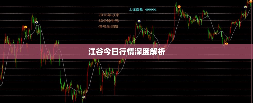 江谷今日行情深度解析