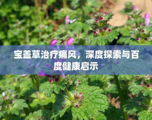 寶蓋草治療痛風，深度探索與百度健康啟示