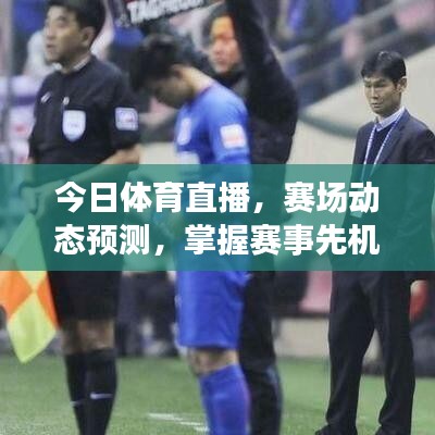 今日體育直播，賽場動(dòng)態(tài)預(yù)測，掌握賽事先機(jī)最新消息