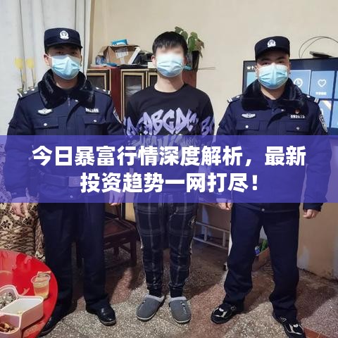 今日暴富行情深度解析，最新投資趨勢(shì)一網(wǎng)打盡！