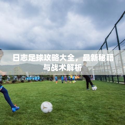 日志足球攻略大全，最新秘籍與戰(zhàn)術(shù)解析