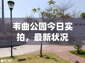 韋曲公園今日實(shí)拍，最新狀況全解析
