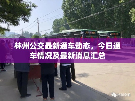 群雌粥粥 第3頁