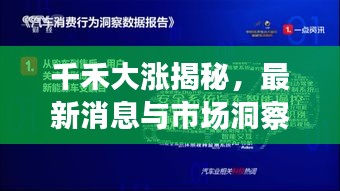 千禾大漲揭秘，最新消息與市場(chǎng)洞察深度解讀