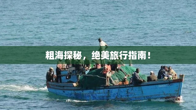 粗海探秘，絕美旅行指南！