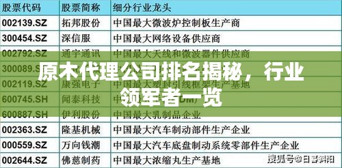 原木代理公司排名揭秘，行業(yè)領(lǐng)軍者一覽