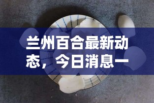 蘭州百合最新動態(tài)，今日消息一網(wǎng)打盡！