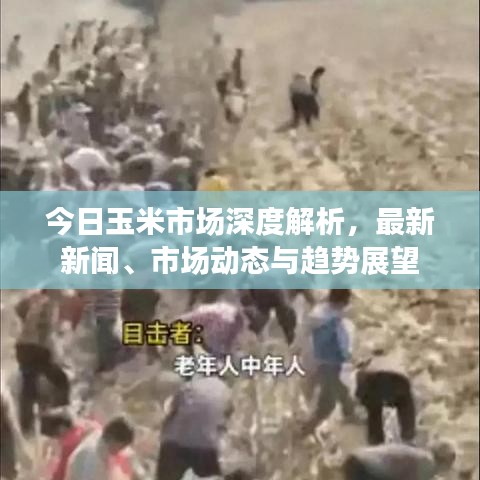 人貴自立 第4頁