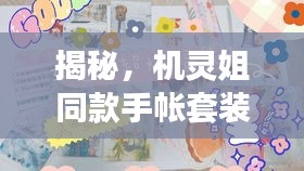 揭秘，機(jī)靈姐同款手帳套裝最新版獨(dú)家爆料