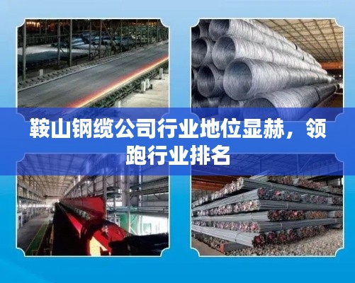 鞍山鋼纜公司行業(yè)地位顯赫，領(lǐng)跑行業(yè)排名