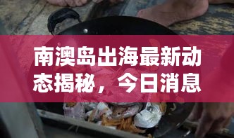 南澳島出海最新動態(tài)揭秘，今日消息一網(wǎng)打盡！