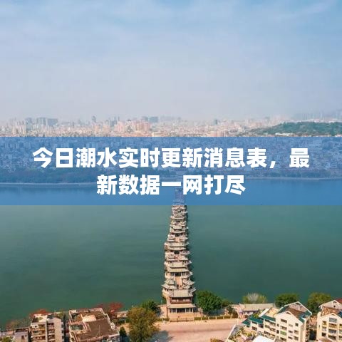 今日潮水實時更新消息表，最新數(shù)據(jù)一網(wǎng)打盡
