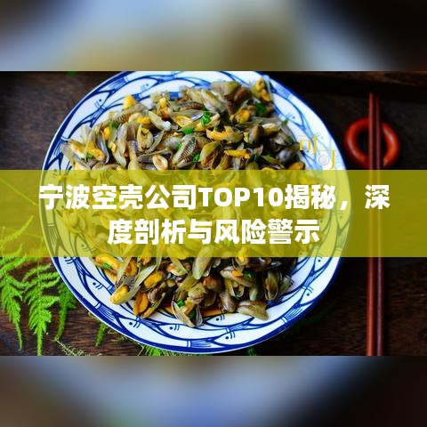 寧波空殼公司TOP10揭秘，深度剖析與風(fēng)險(xiǎn)警示