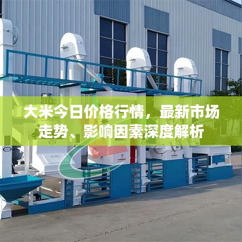 大米今日價(jià)格行情，最新市場(chǎng)走勢(shì)、影響因素深度解析
