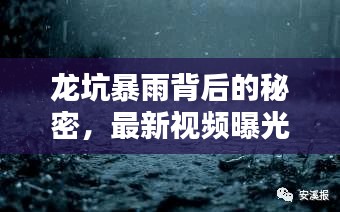 龍坑暴雨背后的秘密，最新視頻曝光，揭示驚人真相！