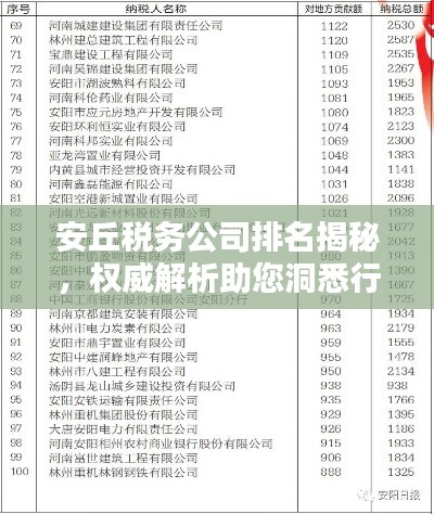 安丘稅務(wù)公司排名揭秘，權(quán)威解析助您洞悉行業(yè)格局