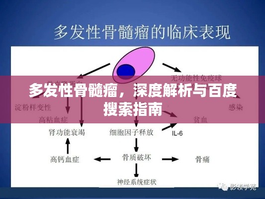 多發(fā)性骨髓瘤，深度解析與百度搜索指南