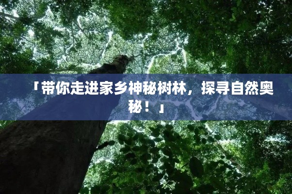 引錐刺股 第2頁