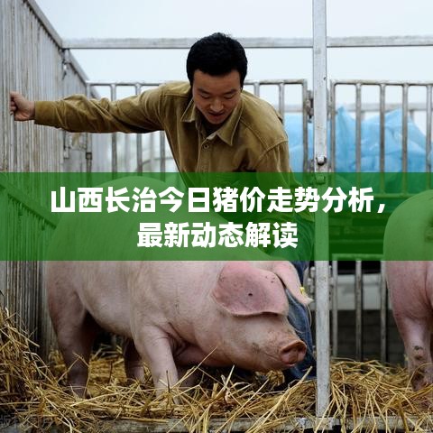山西長(zhǎng)治今日豬價(jià)走勢(shì)分析，最新動(dòng)態(tài)解讀